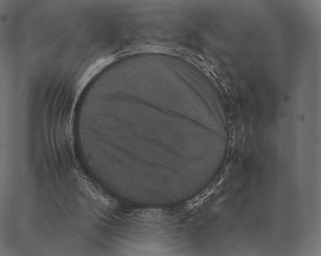 X0000087330104200705181046