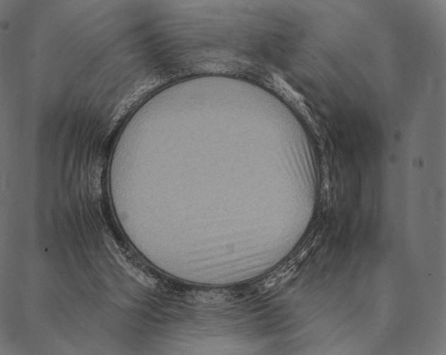 X0000087330106200705181046