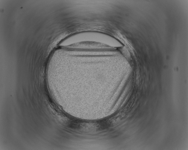 X0000087330107200705181046