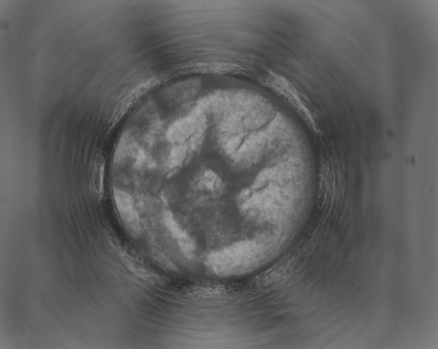 X0000087330110200705181046