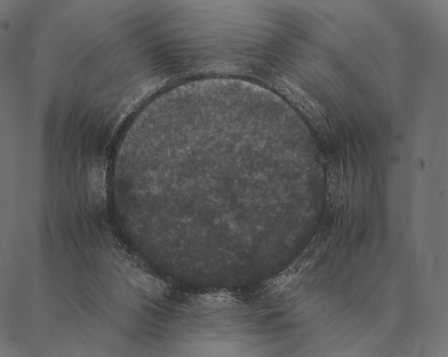 X0000087330112200705181046