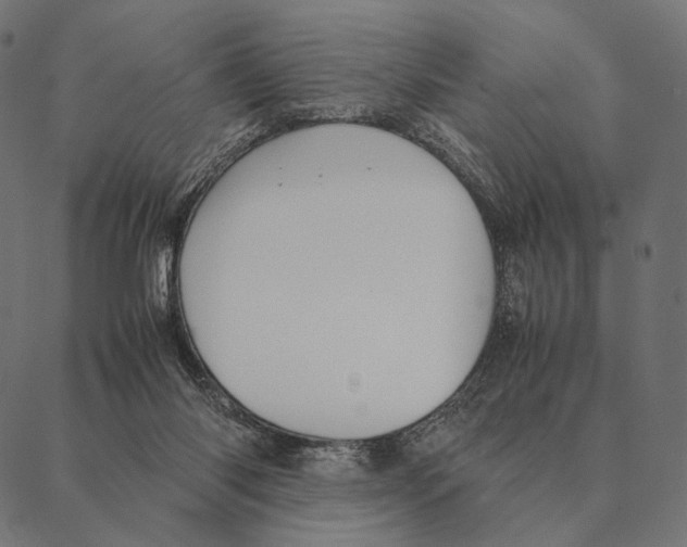 X0000087330118200705181046