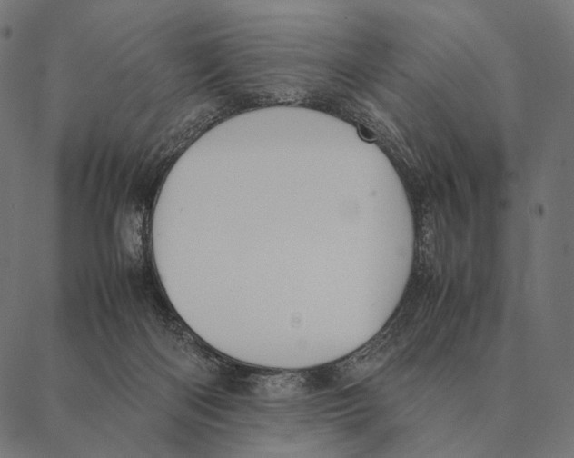 X0000087330122200705181046