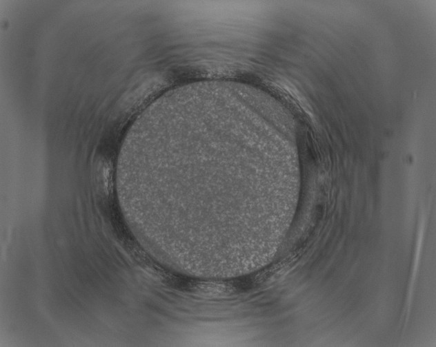X0000087330123200705181046