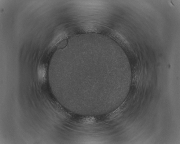 X0000087330124200705181046