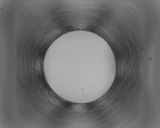 X0000087330126200705181046
