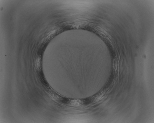 X0000087330127200705181046