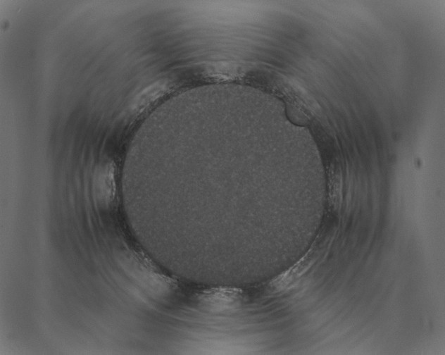 X0000087330128200705181046