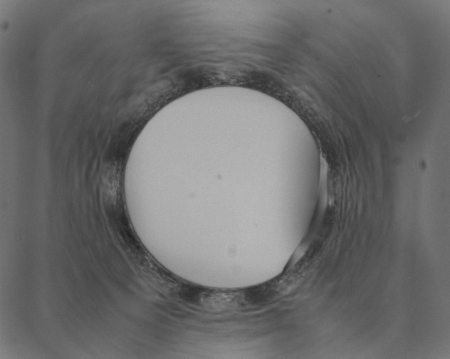 X0000087330129200705181046