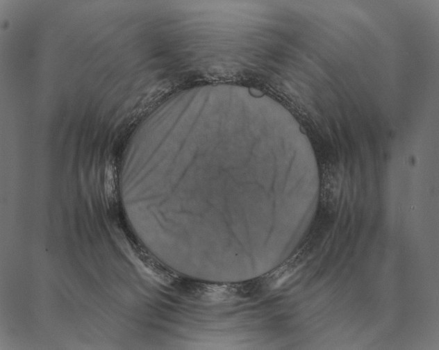 X0000087330130200705181046