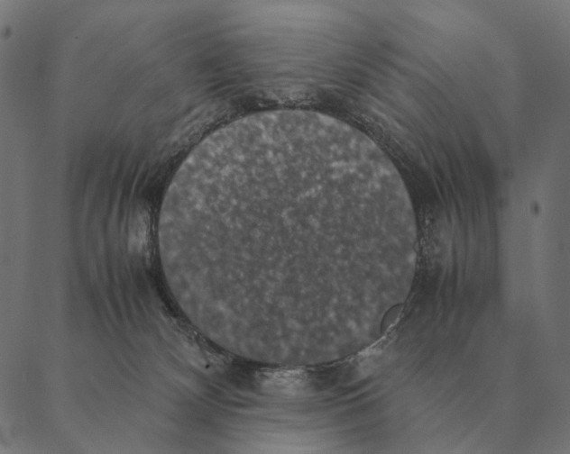 X0000087330132200705181046