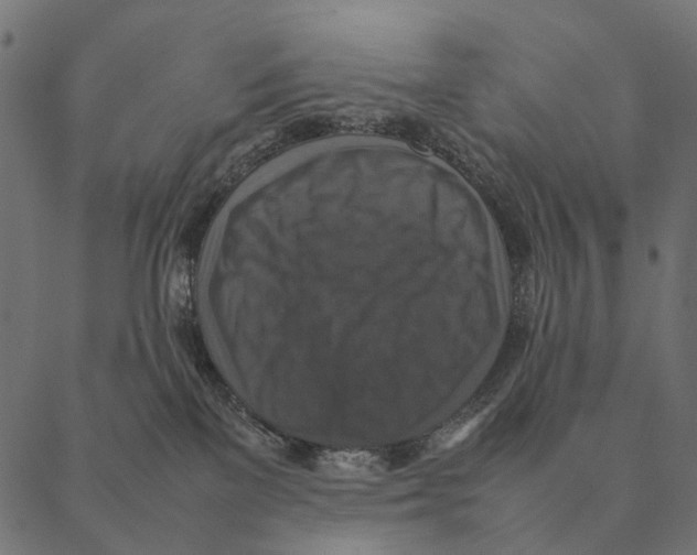 X0000087330137200705181046