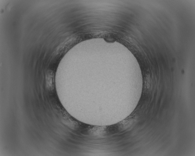 X0000087330138200705181045