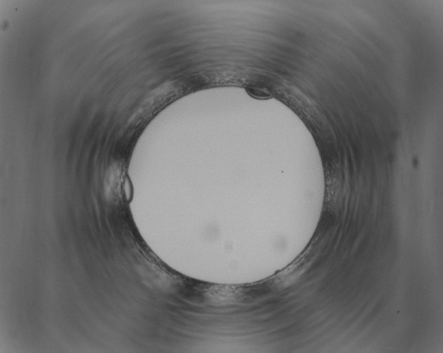 X0000087330142200705181045