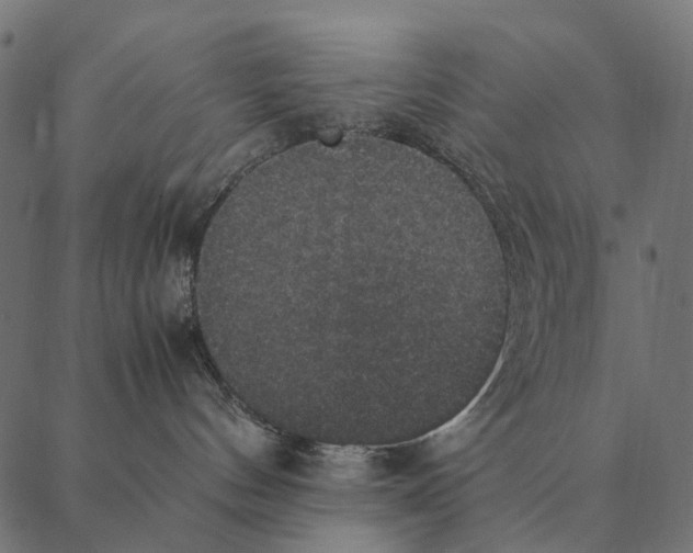X0000087330144200705181045