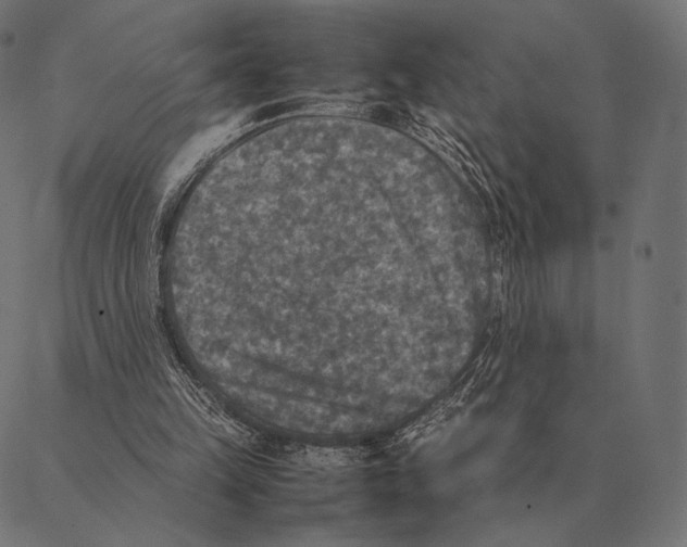 X0000087330149200705181045