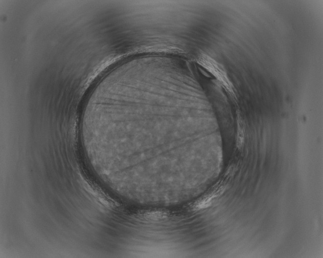X0000087330156200705181045