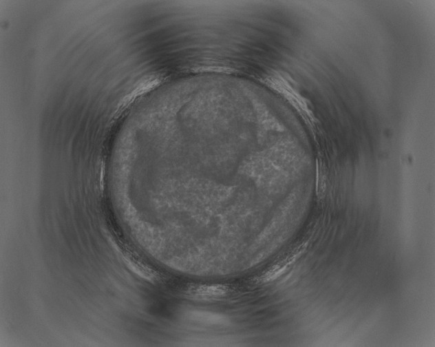 X0000087330157200705181045
