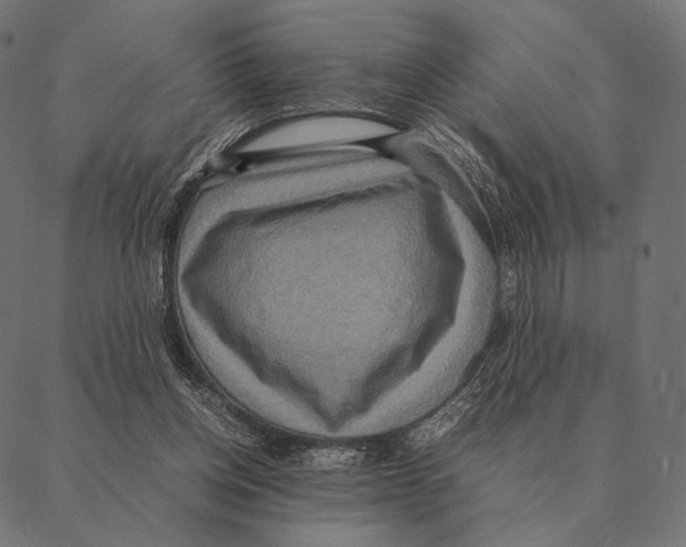 X0000087330158200705181045