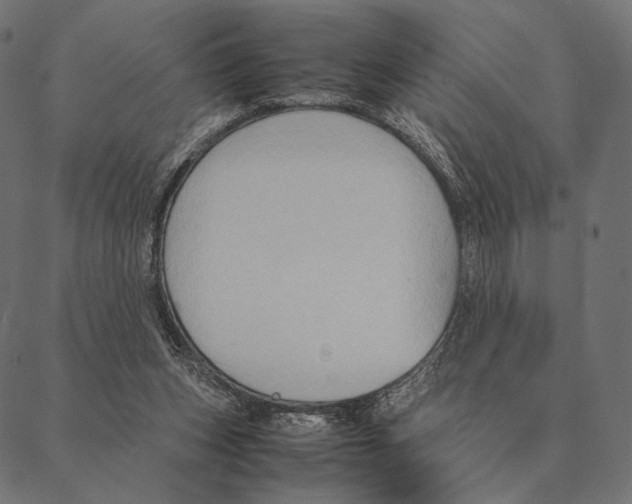 X0000087330159200705181045