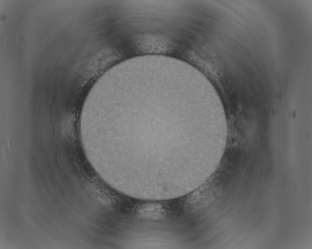 X0000087330162200705181045