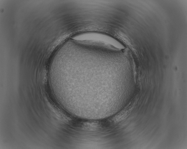 X0000087330164200705181045