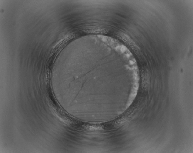 X0000087330165200705181045