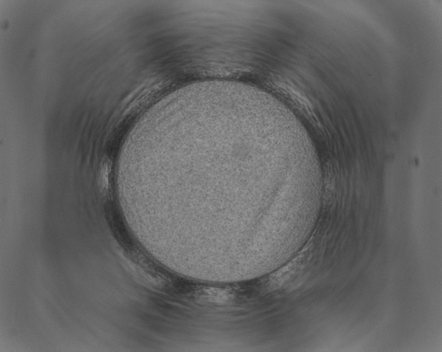 X0000087330166200705181045