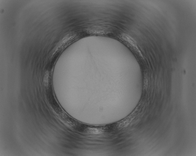X0000087330167200705181045