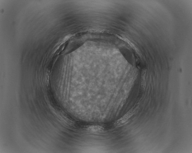 X0000087330168200705181045