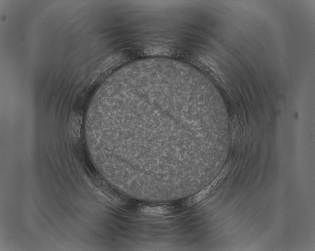 X0000087330171200705181045