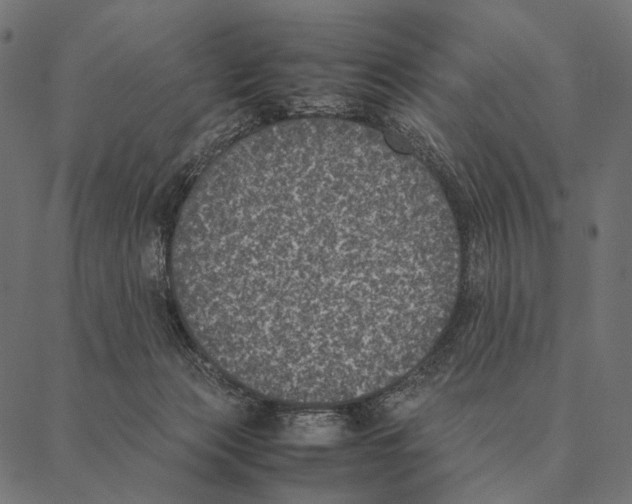 X0000087330173200705181045