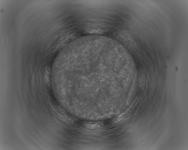 X0000087330175200705181045