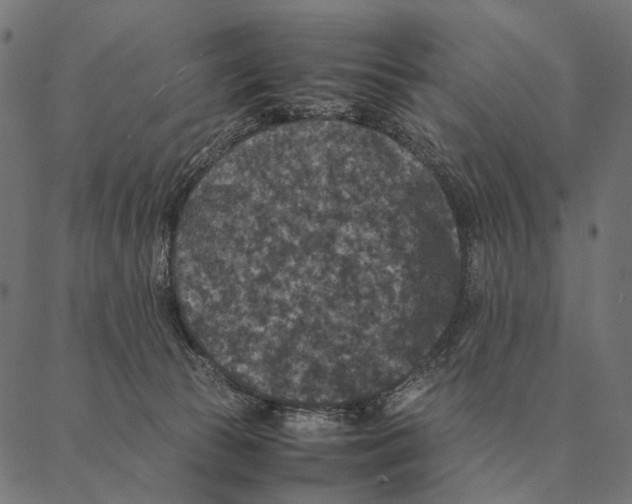 X0000087330177200705181045