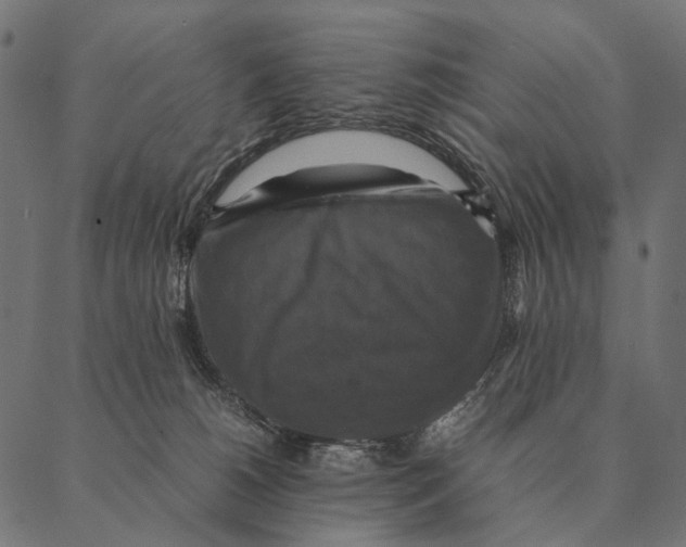 X0000087330180200705181045