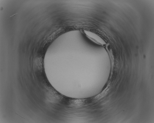 X0000087330184200705181045