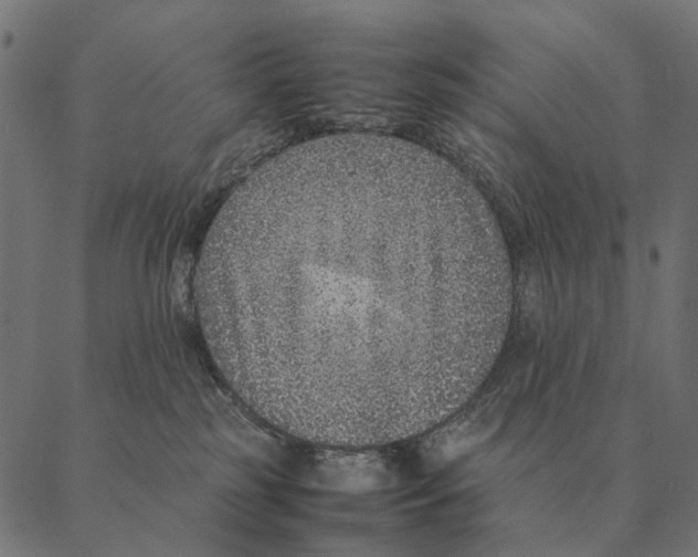X0000087330185200705181045