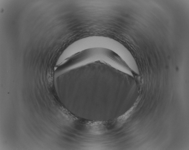 X0000087330186200705181045