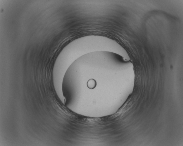 X0000087330188200705181045