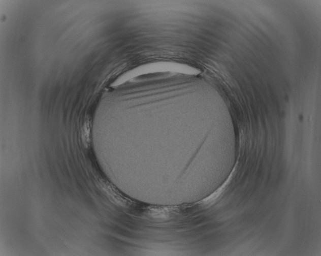 X0000087330190200705181045