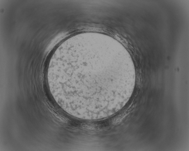 X0000087330199200705181044