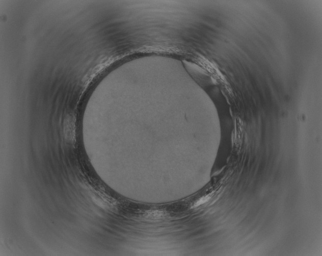X0000087330204200705181044