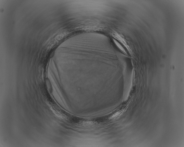 X0000087330205200705181044