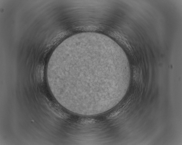 X0000087330206200705181044