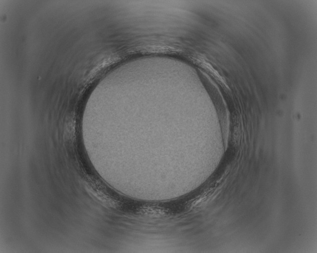 X0000087330207200705181044