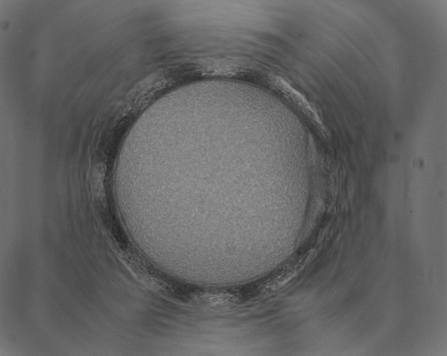 X0000087330209200705181044