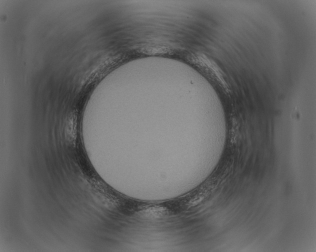X0000087330210200705181044