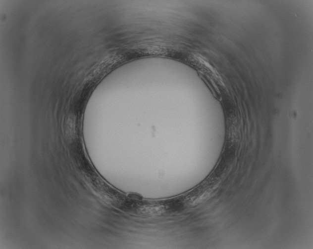 X0000087330213200705181044