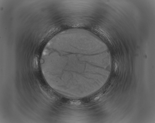 X0000087330214200705181044