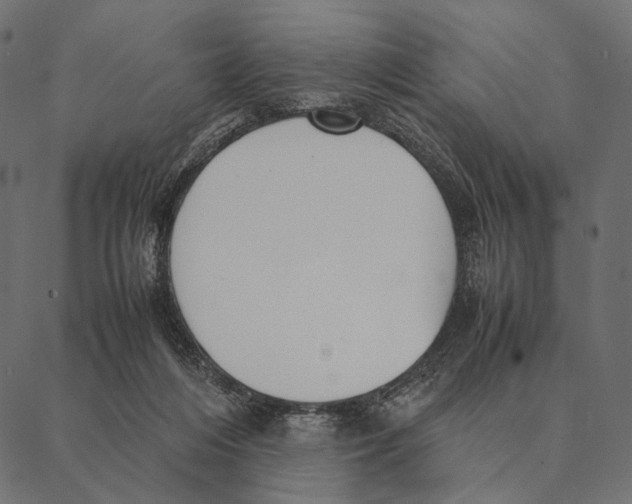 X0000087330216200705181044